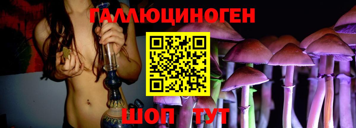 где найти   Псилоцибиновые грибы Psilocybe  Заволжье  Вход с VPN  Псилоцибиновые грибы Psilocybine cubensis 